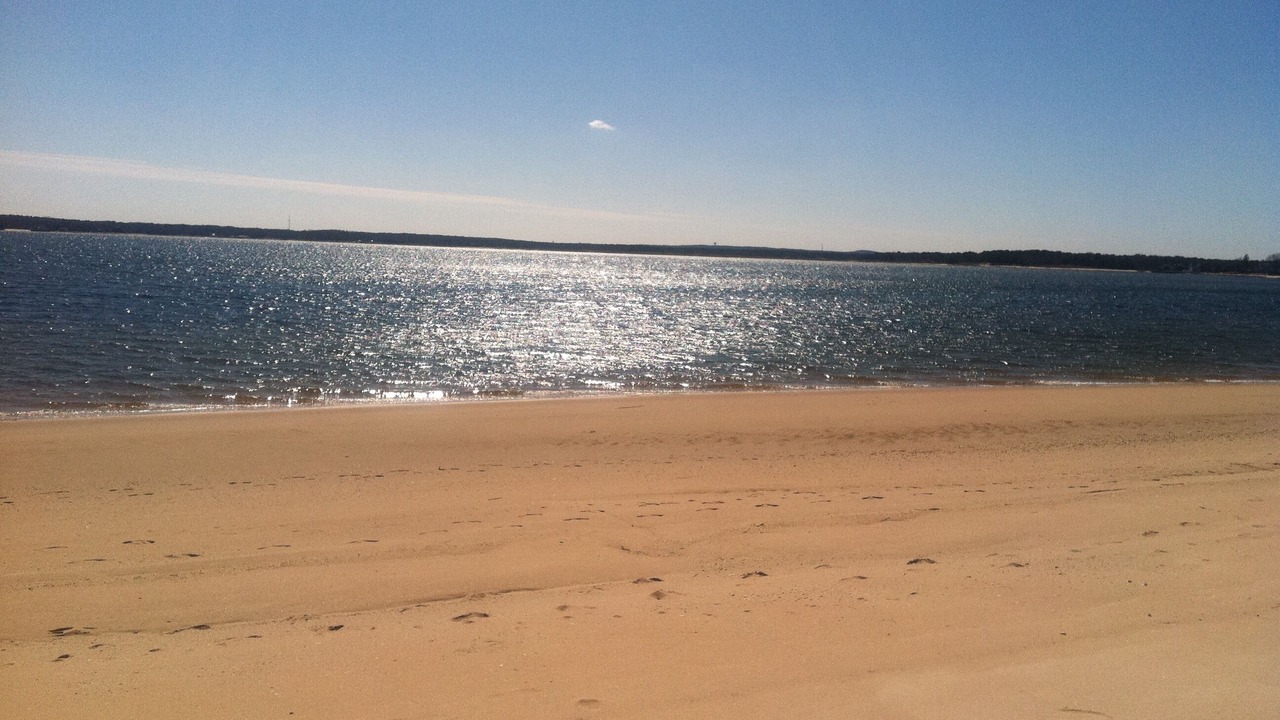 Photo of Others in Aquebogue