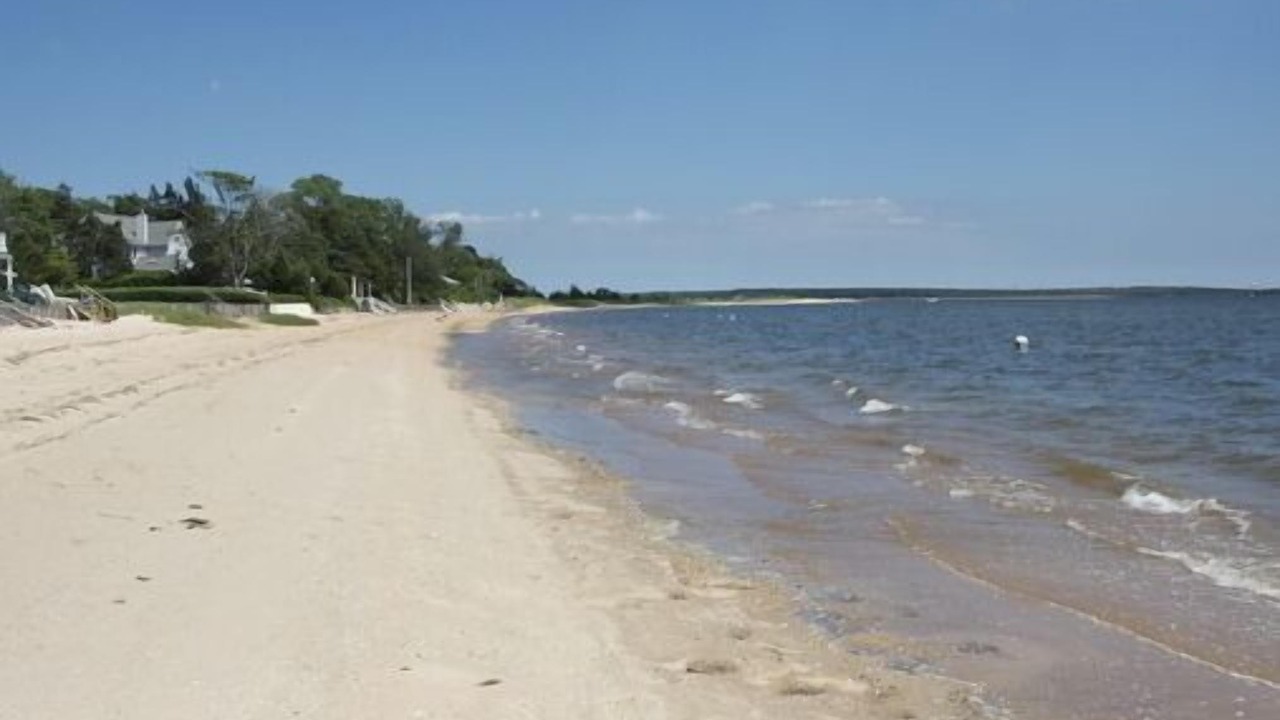 Photo of Others in Aquebogue