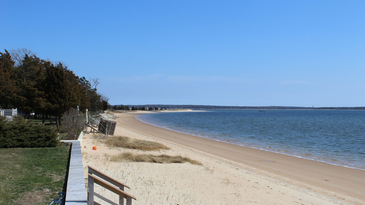 Photo of Others in Aquebogue