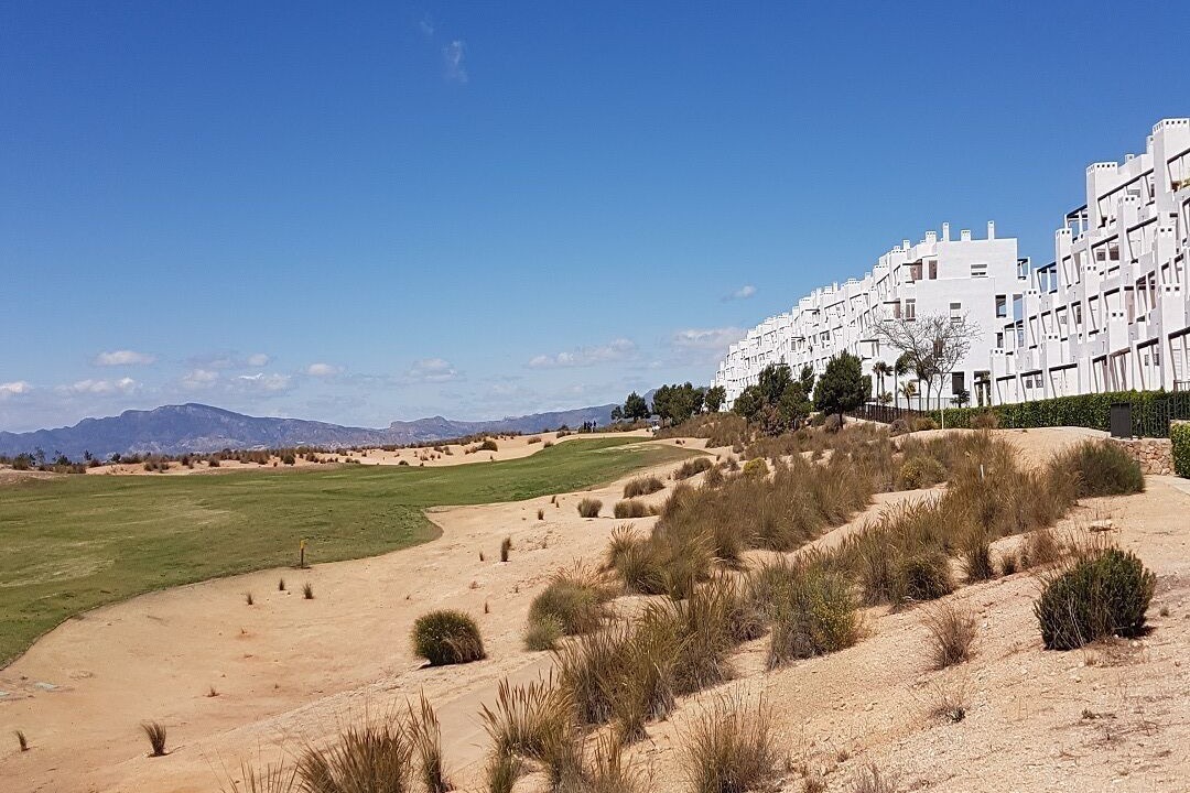 Photo of Others in Alhama de Murcia