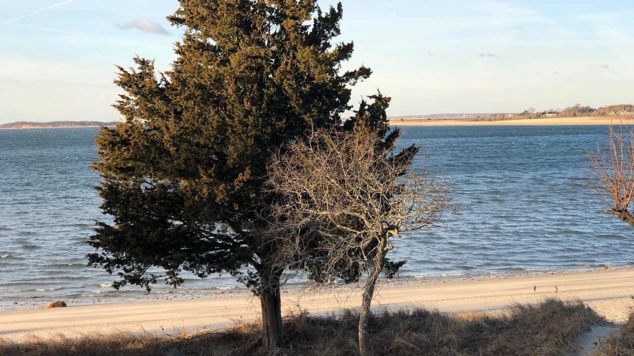 Photo of Others in Suffolk County