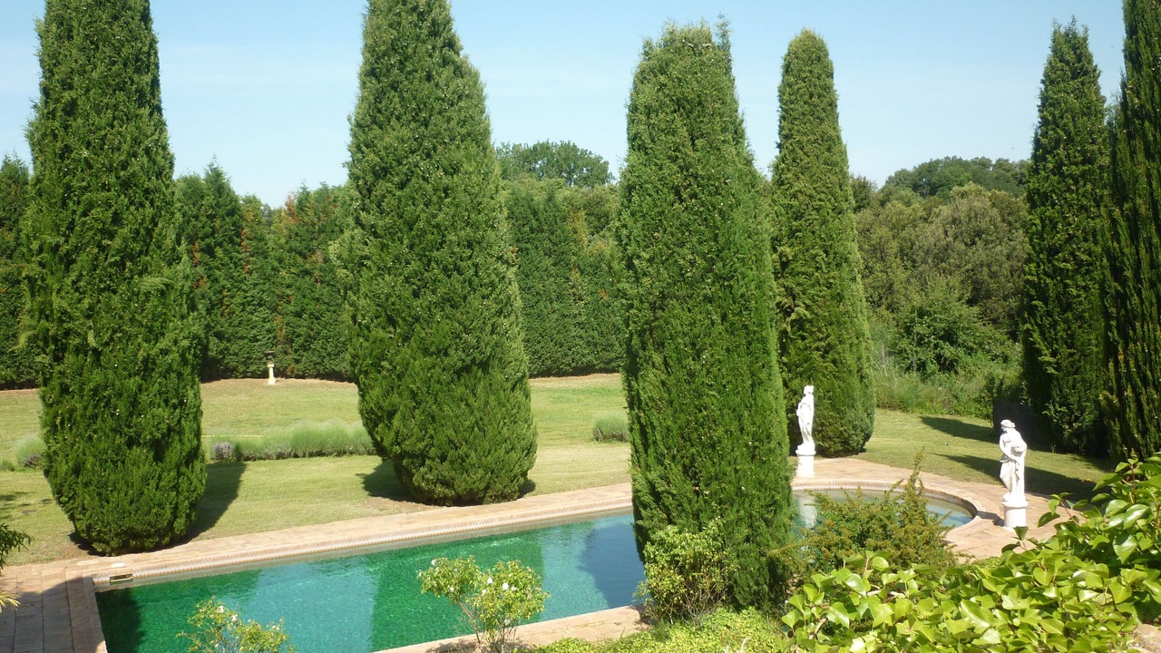 Photo of Outdoor in Vulpellac