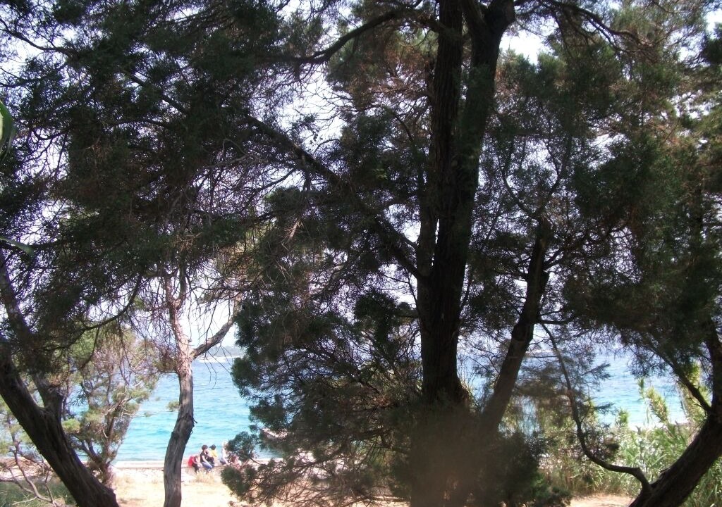 Photo of Others in Lumbarda