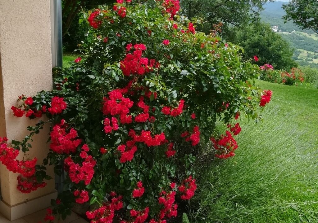 Photo of Outdoor in Ciritez