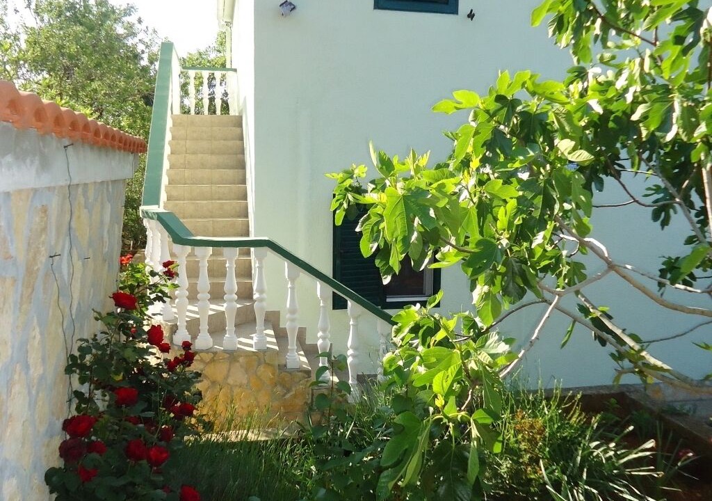 Photo of Outdoor in Island Dugi Otok