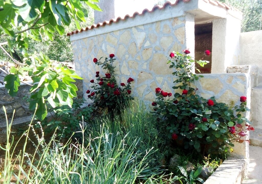 Photo of Outdoor in Island Dugi Otok