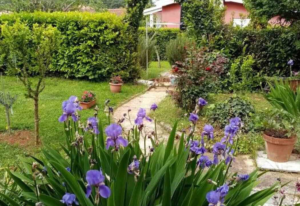 Photo of Outdoor in Savudrija