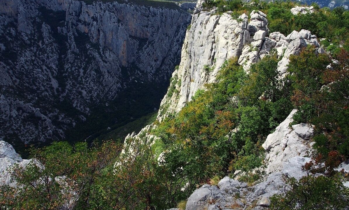 Photo of Others in Seline