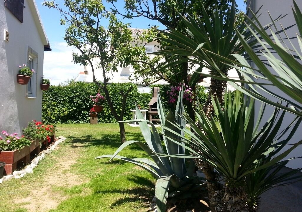 Photo of Outdoor in Nin