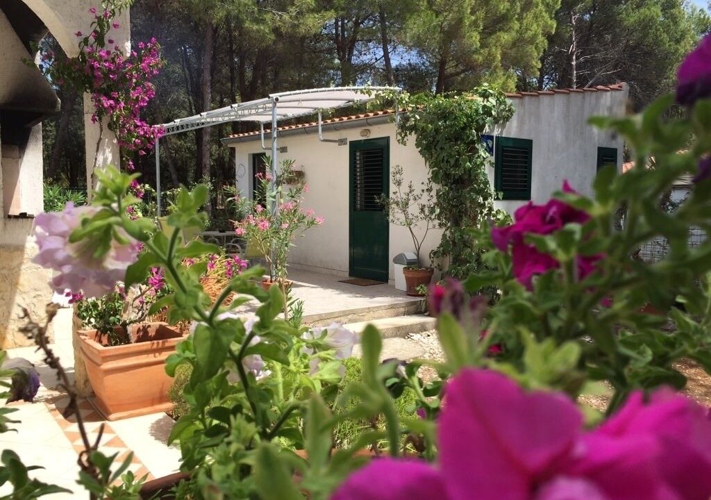 Photo of Outdoor in Veli Rat