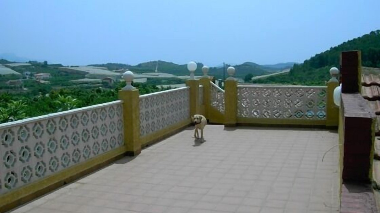Photo of Outdoor in Callosa d' En Sarria