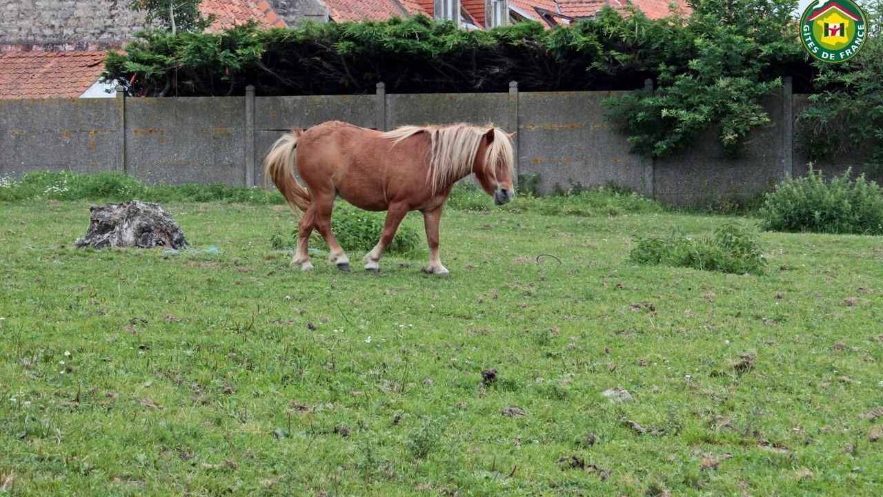 Photo of Outdoor in Beuvrequen