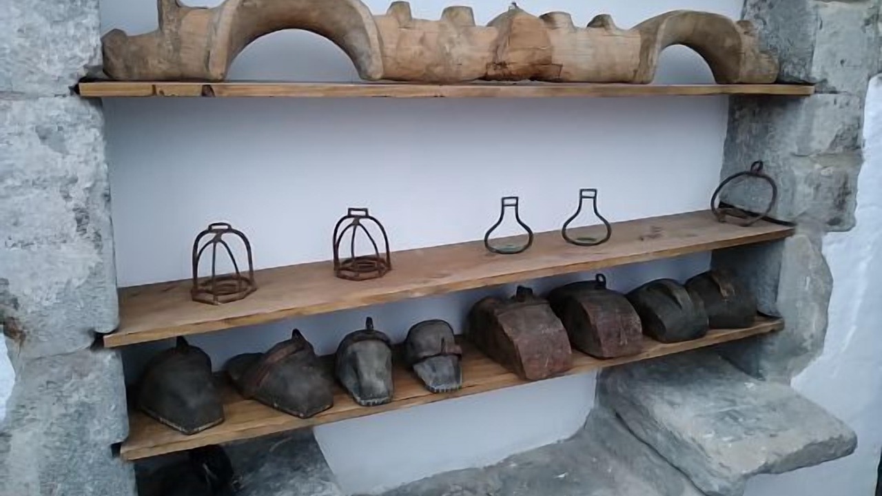 Photo of Kitchen in Sant Pere de Torello