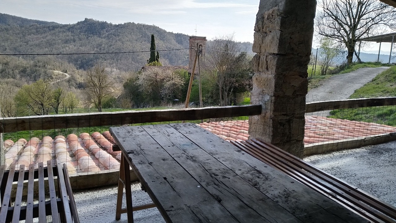 Photo of Patio Balcony in Sant Pere de Torello