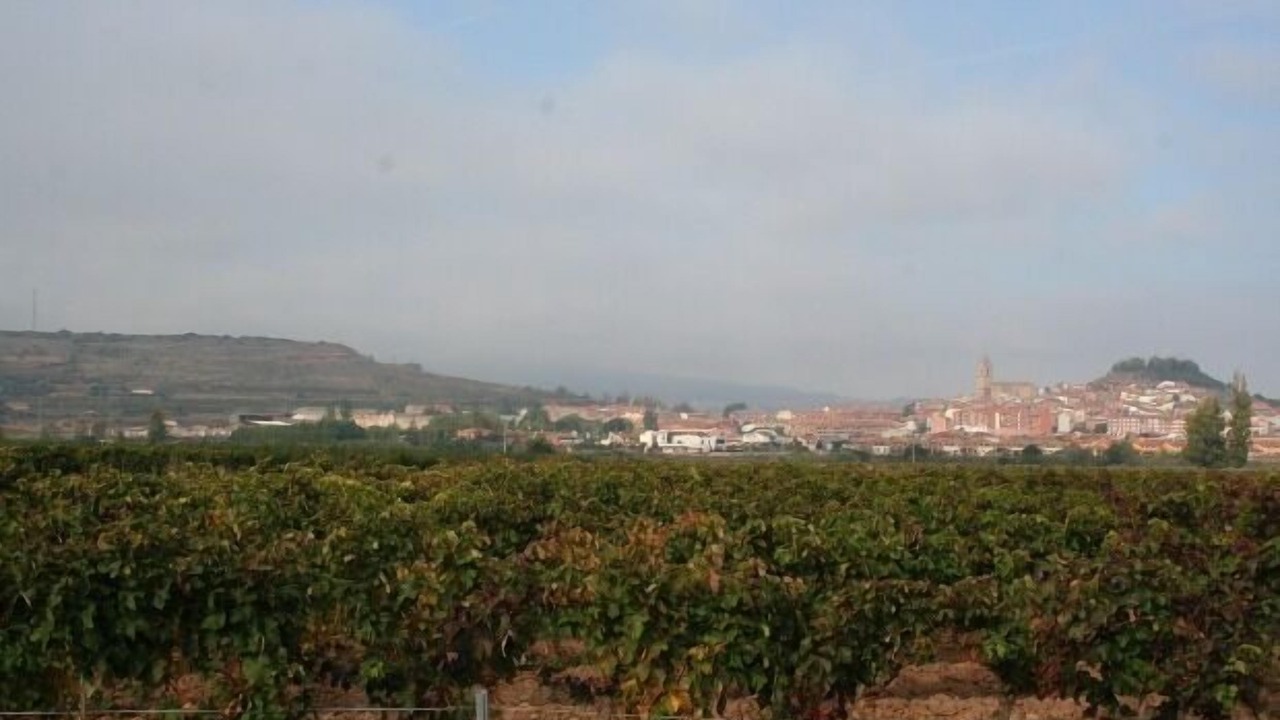 Photo of Outdoor in Navarrete