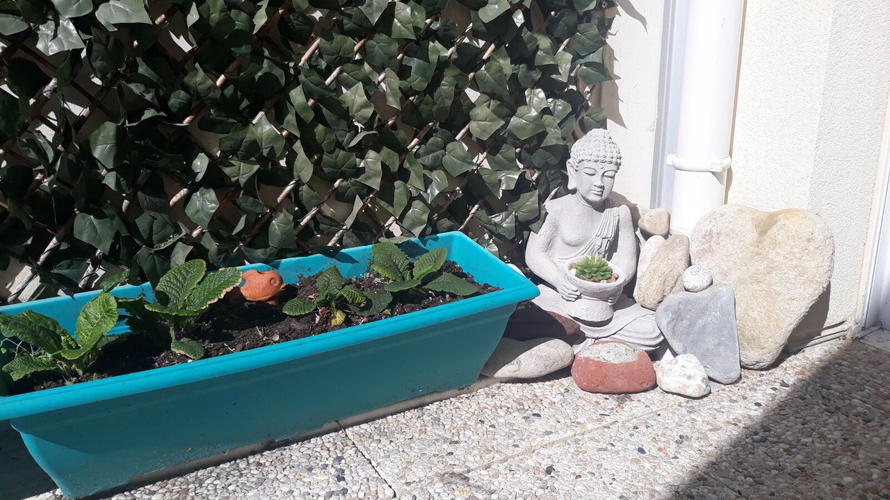 Photo of Outdoor in Wimereux