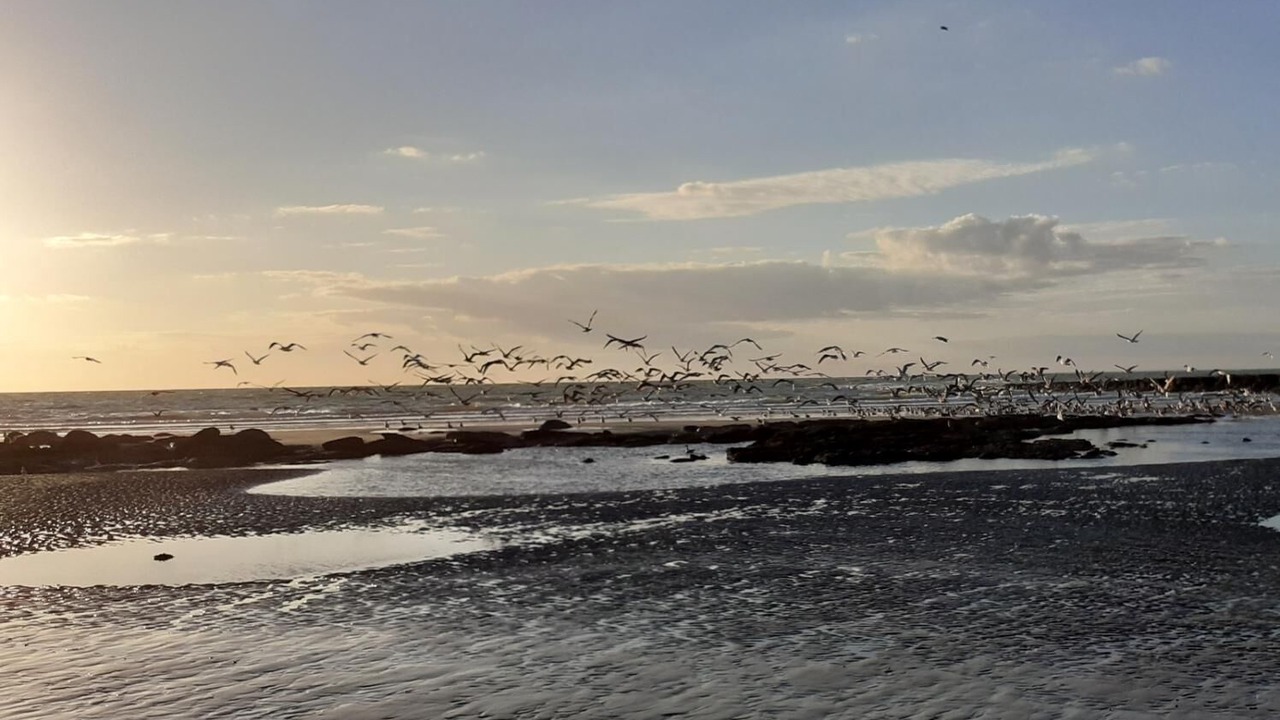 Photo of Others in Wimereux
