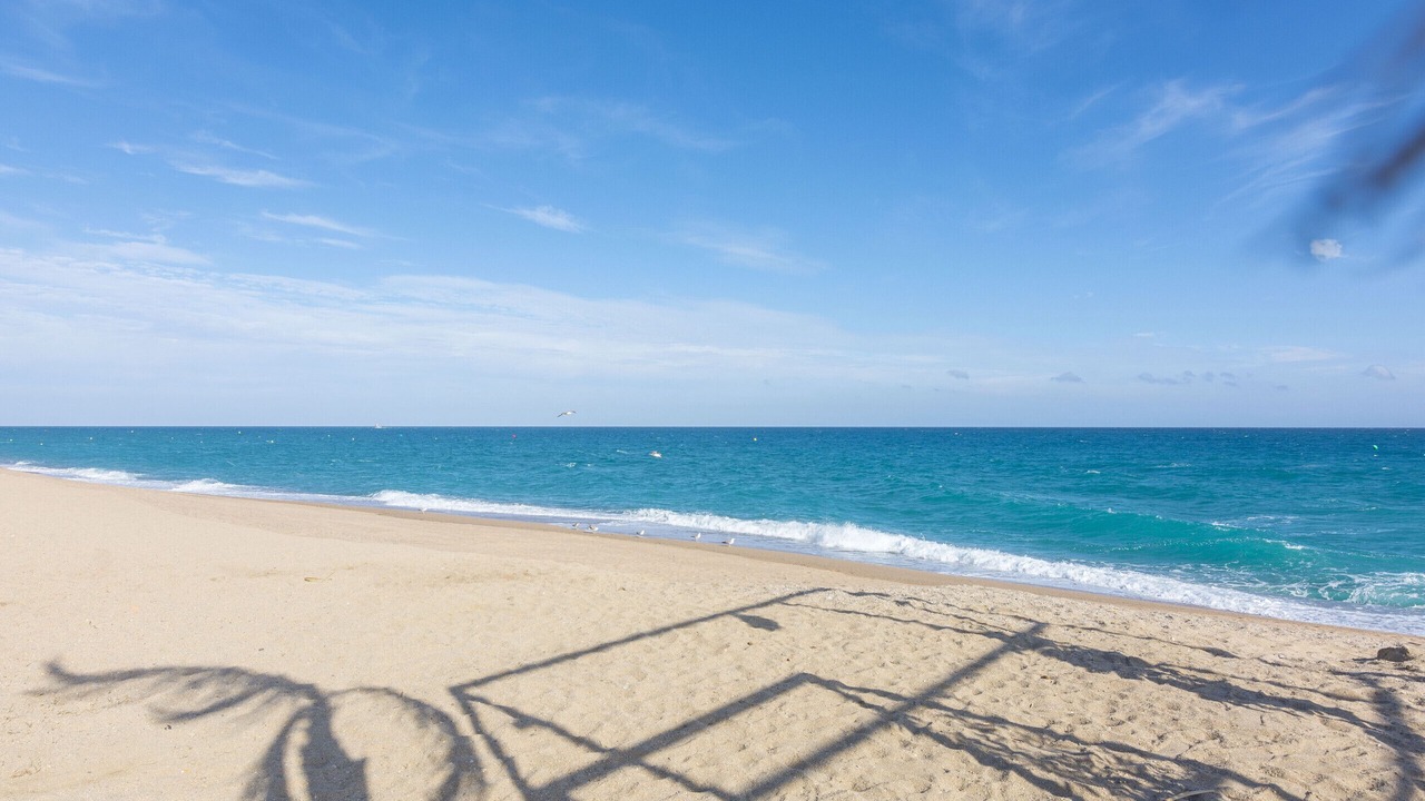 Photo of Others in Pineda de Mar