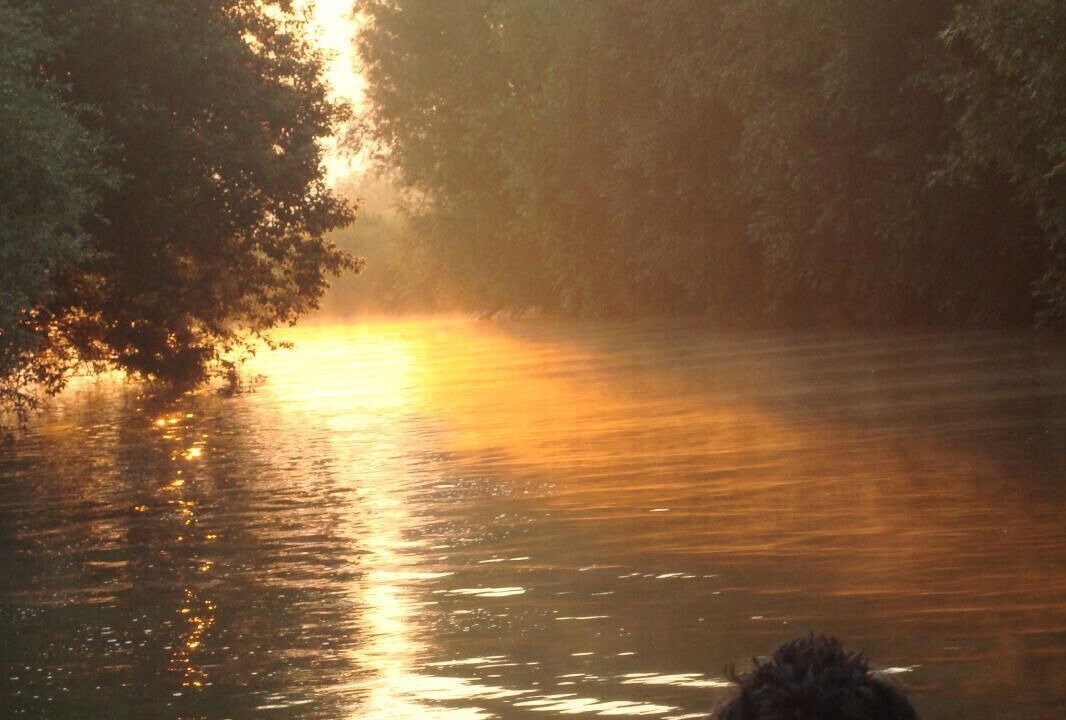 Photo of Others in Saint-Omer