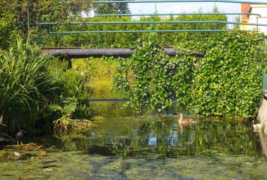 Photo of Outdoor in Saint-Omer