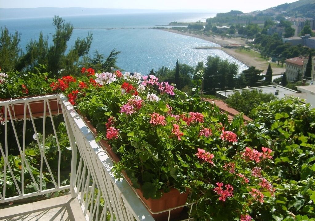 Photo of Outdoor in Borak