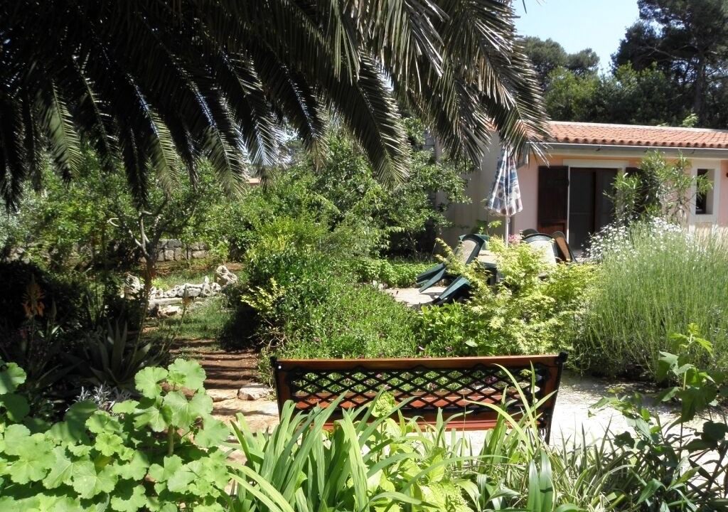 Photo of Outdoor in Veli Losinj