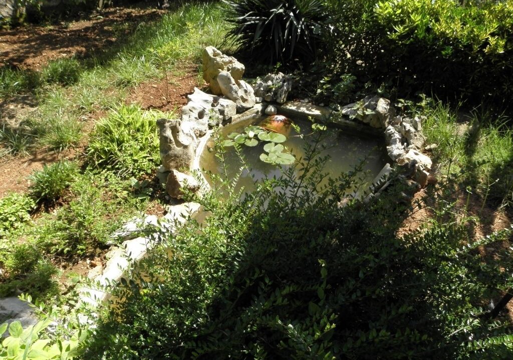 Photo of Outdoor in Veli Losinj