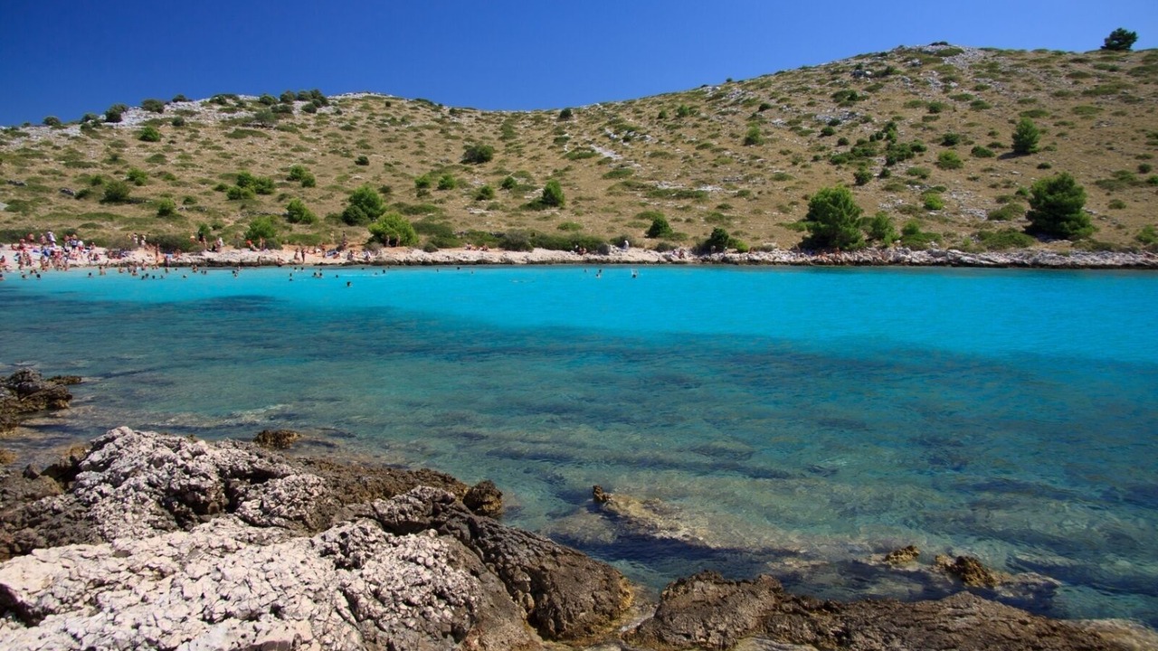 Photo of Others in Gangaro