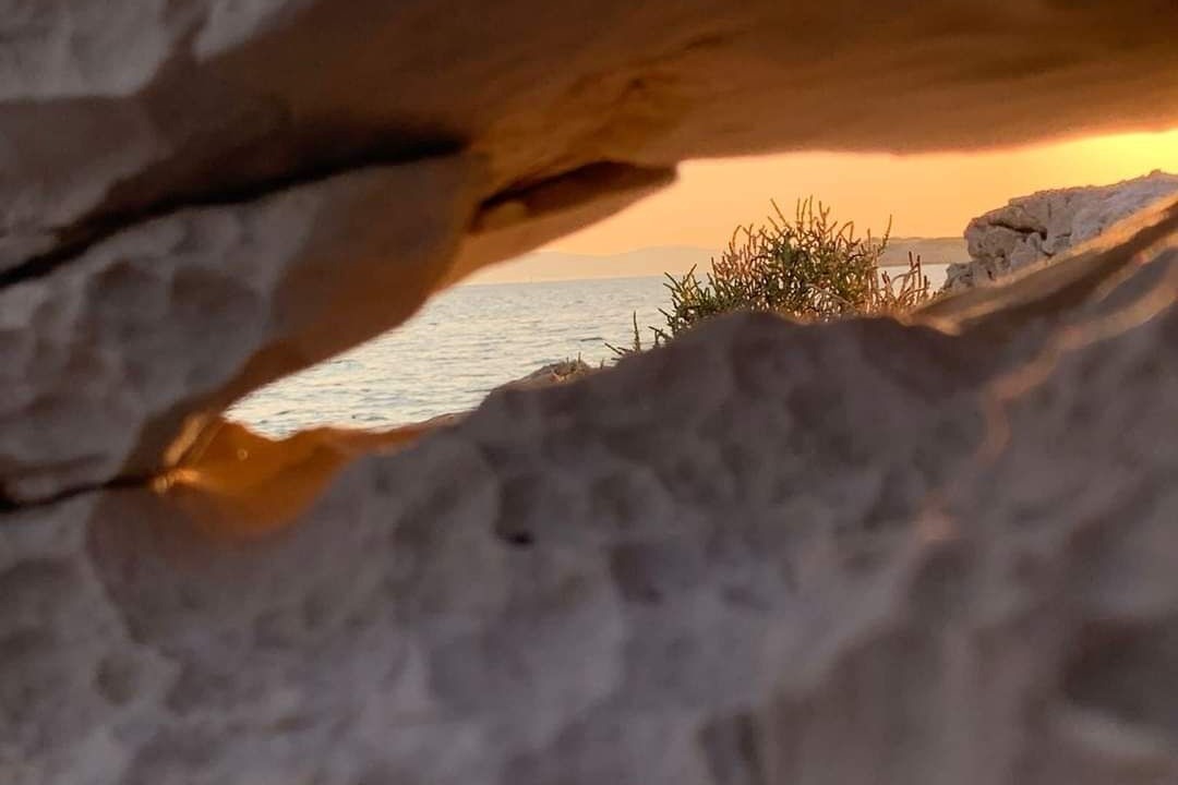 Photo of Others in Gangaro