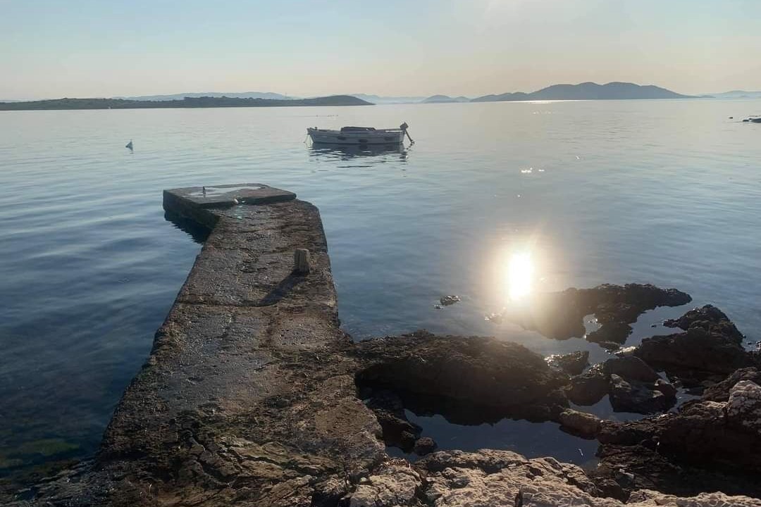 Photo of Others in Gangaro