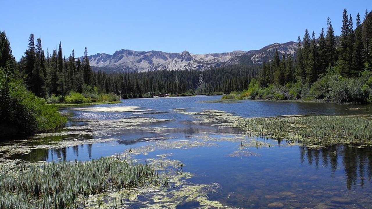 Photo of Others in Mammoth Lakes