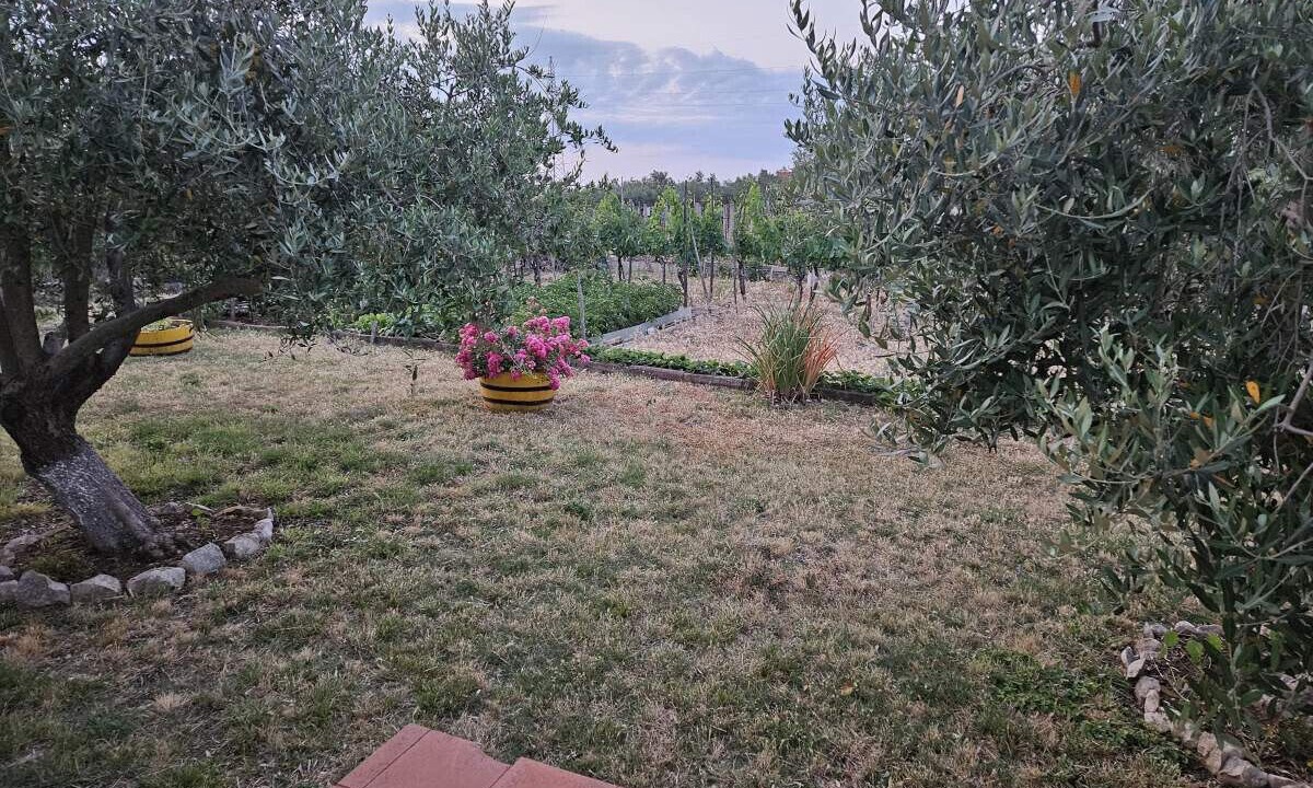 Photo of Outdoor in Nin