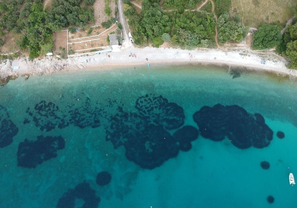 Photo of Others in Miholascica