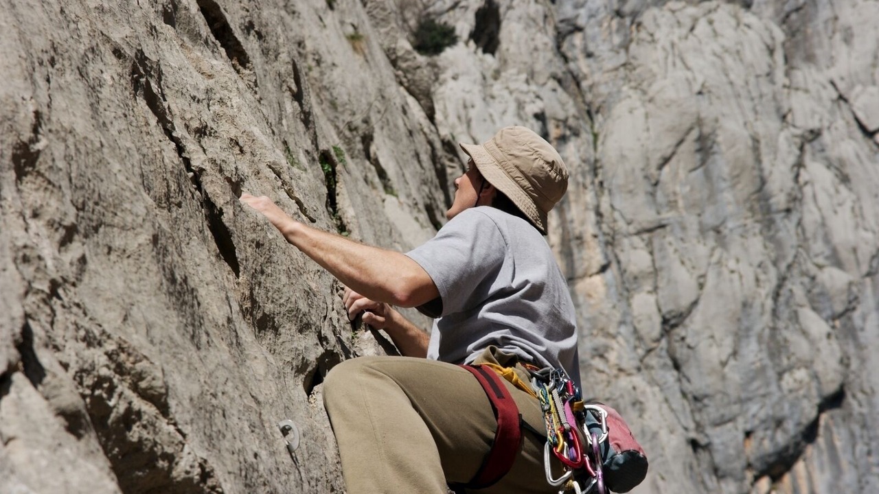 Photo of Others in Seline