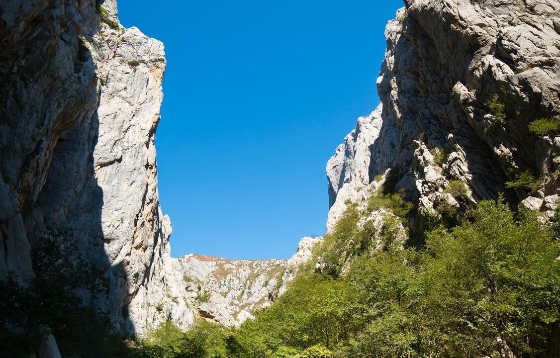 Photo of Others in Seline