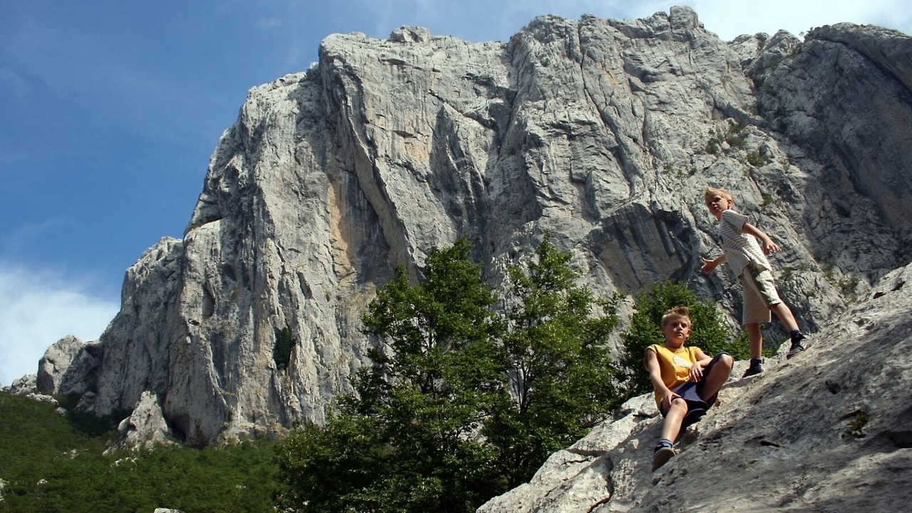 Photo of Others in Seline