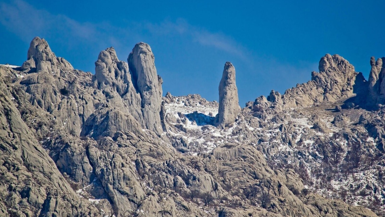 Photo of Others in Seline