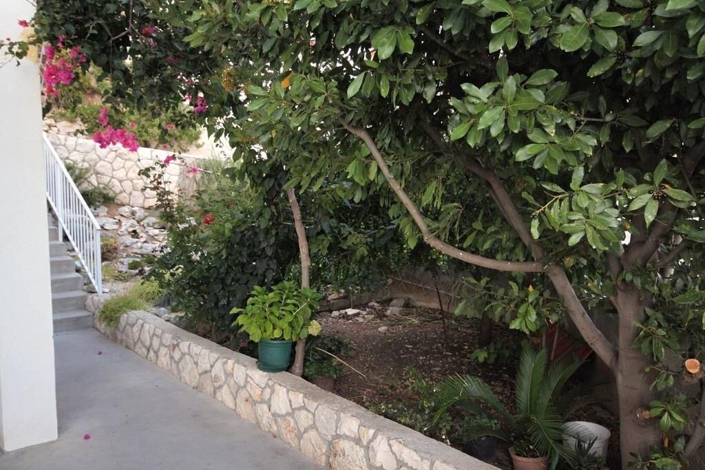 Photo of Outdoor in Hvar