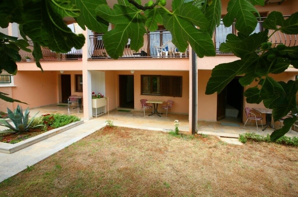 Photo of Outdoor in Brulo