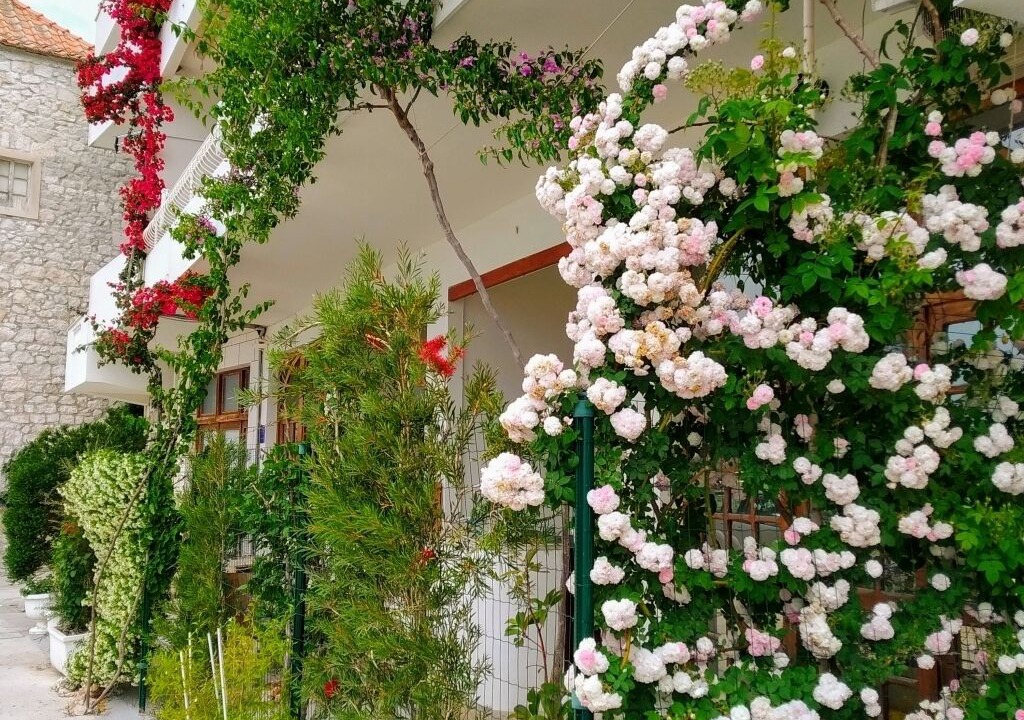 Photo of Outdoor in Drasnice