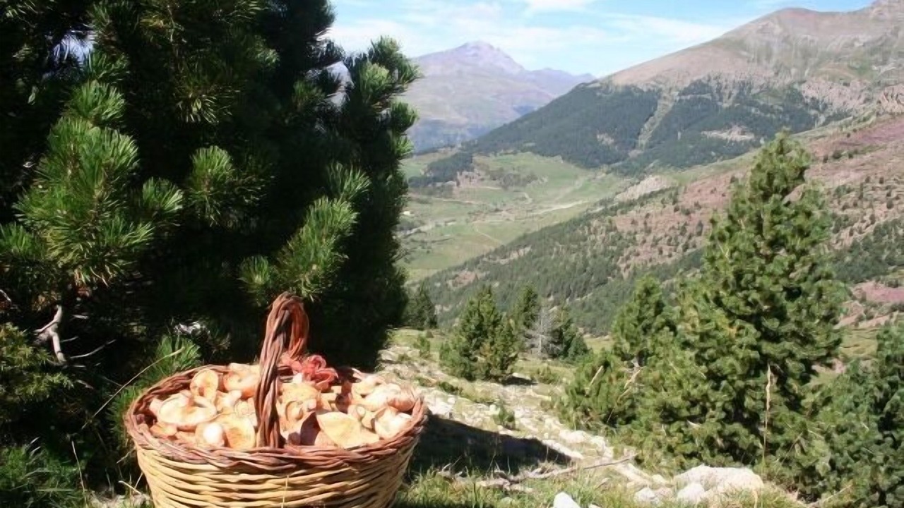 Photo of Outdoor in Chia