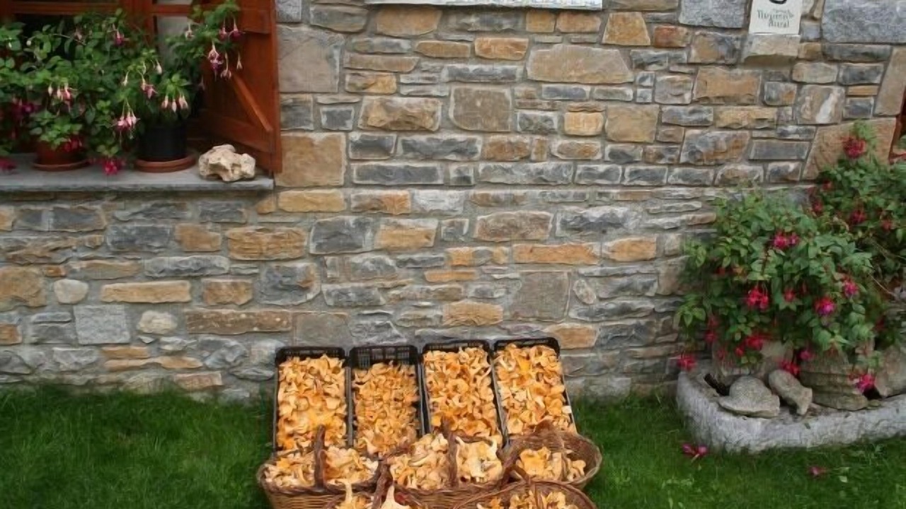 Photo of Outdoor in Chia