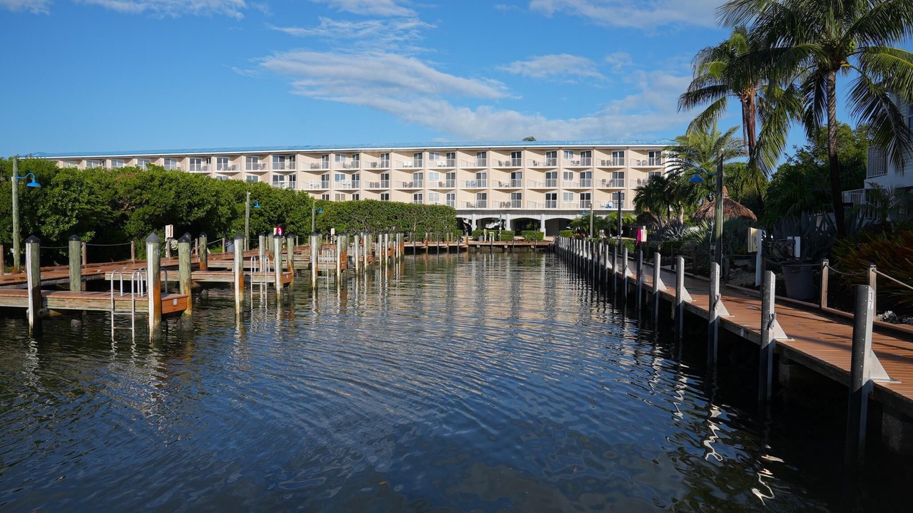 Photo of Others in Tavernier