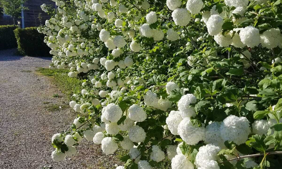 Photo of Outdoor in Le Buisson-de-Cadouin