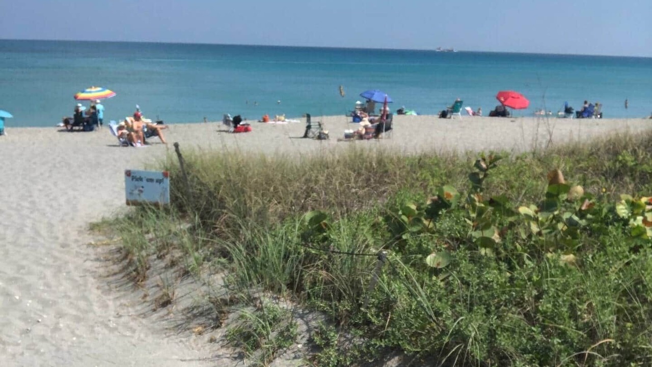 Photo of Others in Hobe Sound