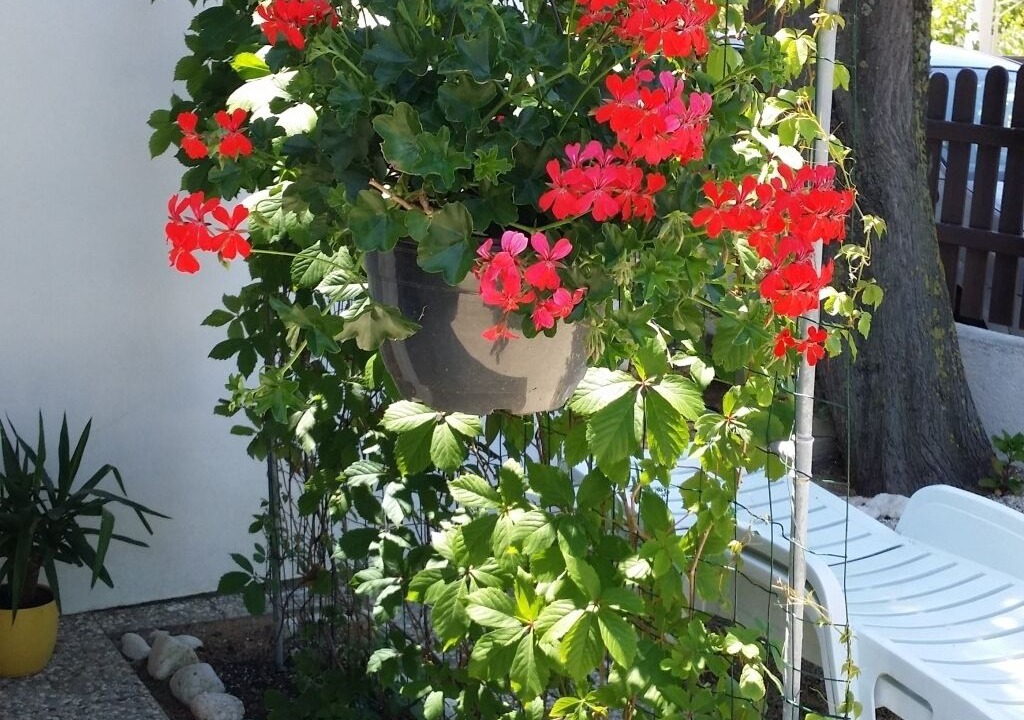 Photo of Outdoor in Nin