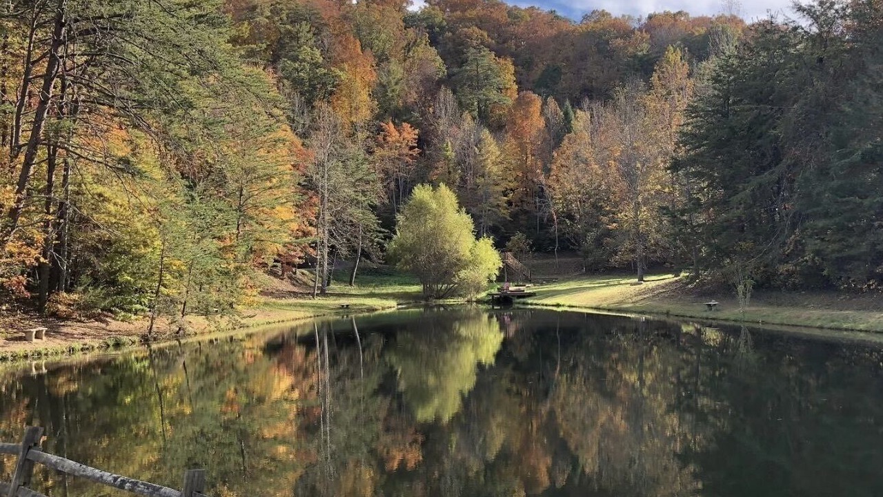 Photo of Others in Sevierville