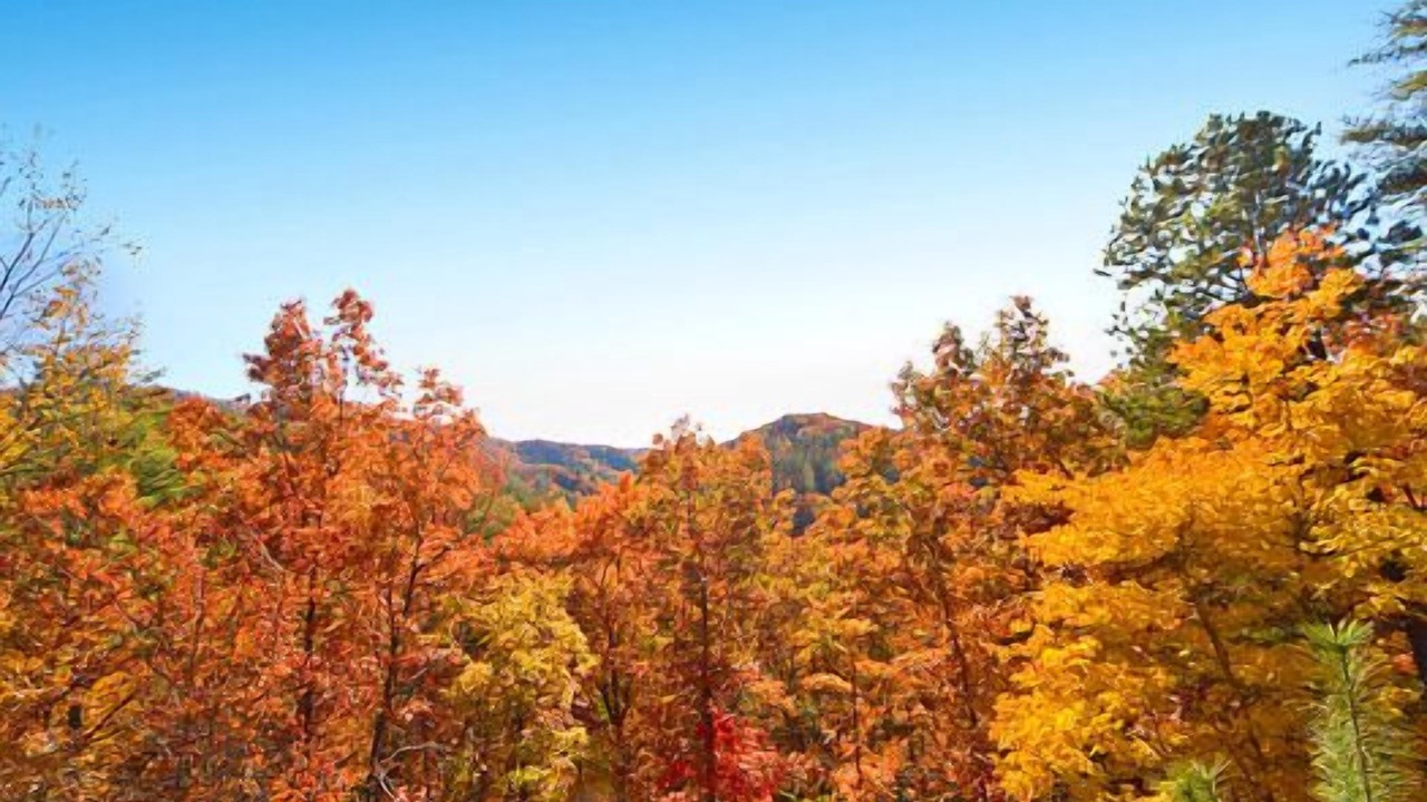 Photo of Others in Sevierville