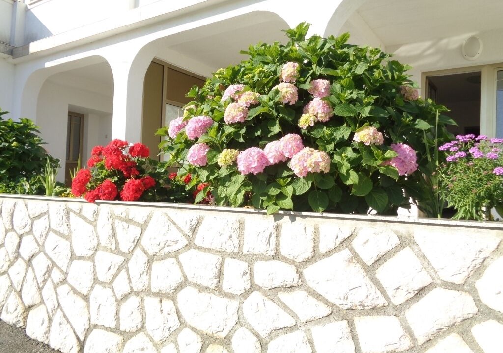 Photo of Outdoor in Rab Town