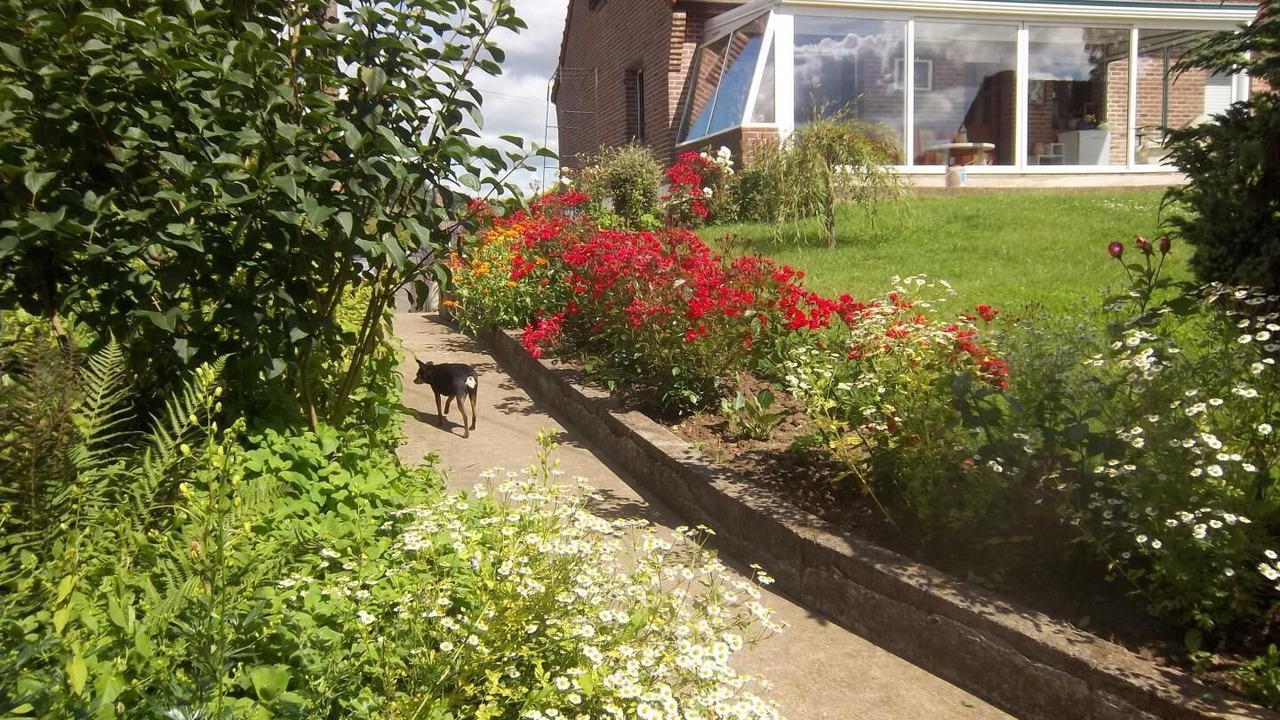 Photo of Outdoor in Senlis